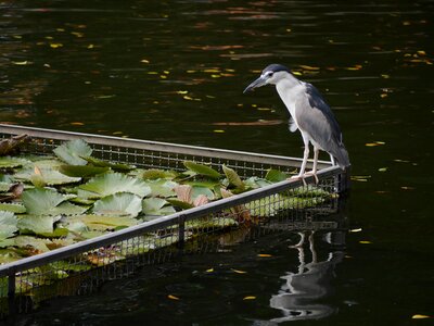Water nature asia