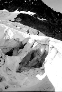 Patrouille auf dem Schwarzberggletscher - CH-BAR - 3236996
