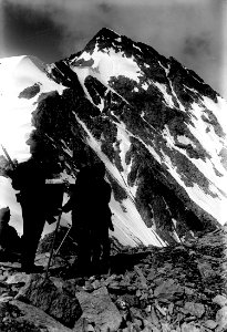 Patrouille auf dem Lattenhorn mit P. Tambo - CH-BAR - 3236888