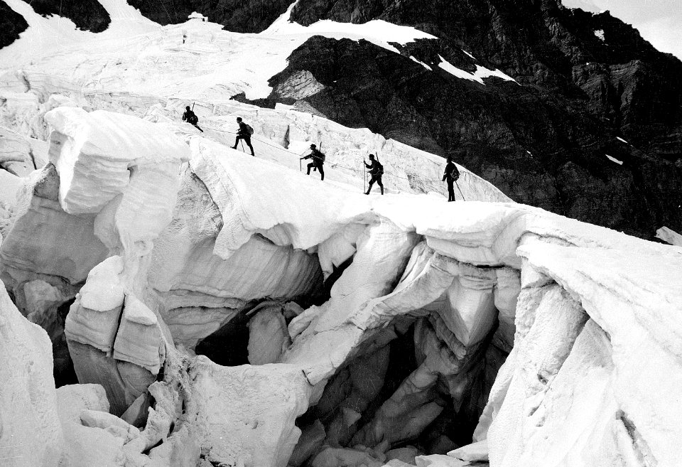 Patrouille auf dem Schwarzberggletscher - CH-BAR - 3236997
