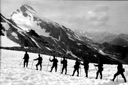 Patrouille auf der Bortelalp in einem Schneefeld - CH-BAR - 3236948