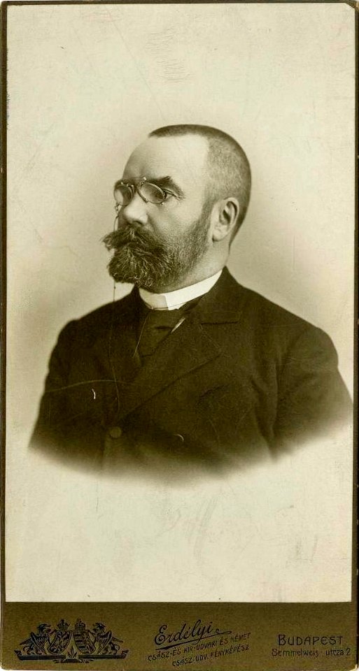 Pauler Gyula (Erdélyi Mór felvétele)