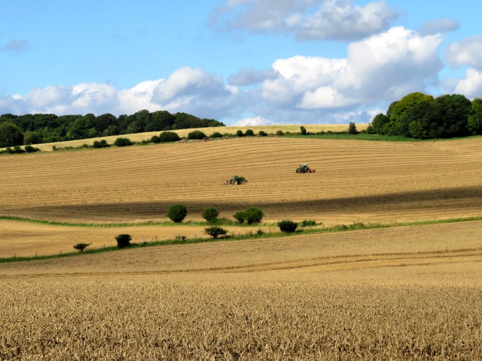 Agriculture tractor grain