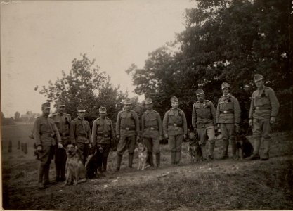 Patrouillenhund mit ihren Führern. Aufgen. am 21.VI.1916. (BildID 15476343)