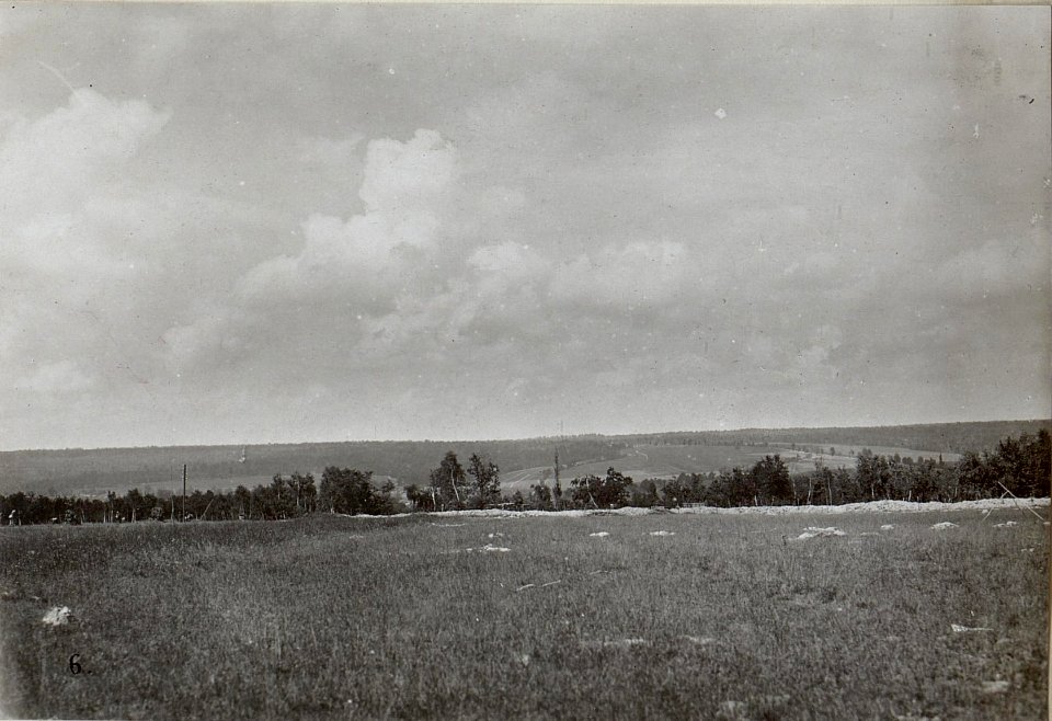 Pawelcze, Galizien (BildID 15653395)