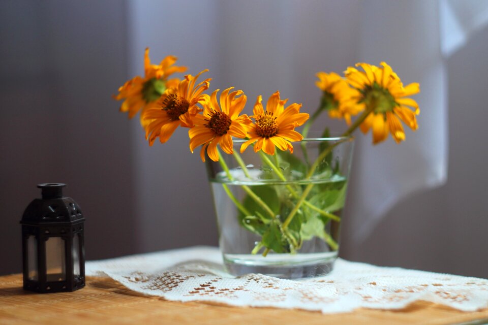 Bright beautiful yellow flowers