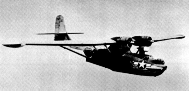 PBY cat