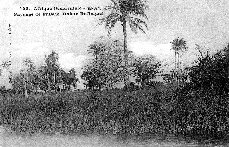 Paysage de M'Baw