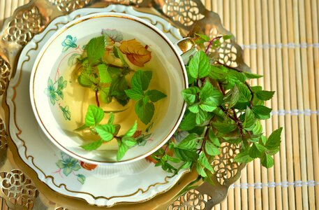 Tee leaves medicinal herbs photo