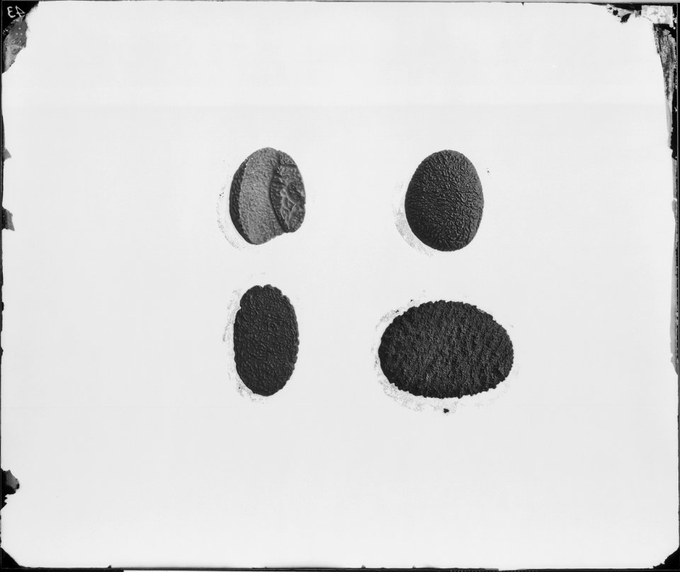 PEBBLES CARVED BY SAND, COLORADO RIVER, VOLUME III PLATE IX - NARA - 524146