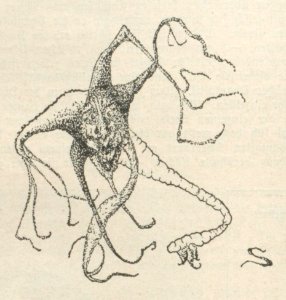 Paul Scheerbart Figur 1908