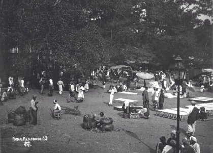Payakumbuh market 1900