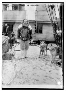 Peary with dogs on deck of Roosevelt LCCN2014684194 photo