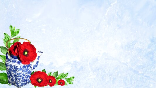 Poppies teapot decorated