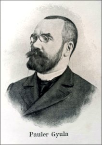 Pauler Gyula. Ferenczi A tudományos irodalom...1913