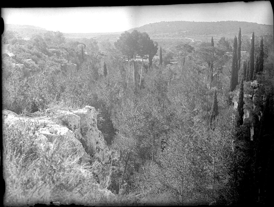 Pedrera del Mèdol (AFCEC RIBASV C 2628)
