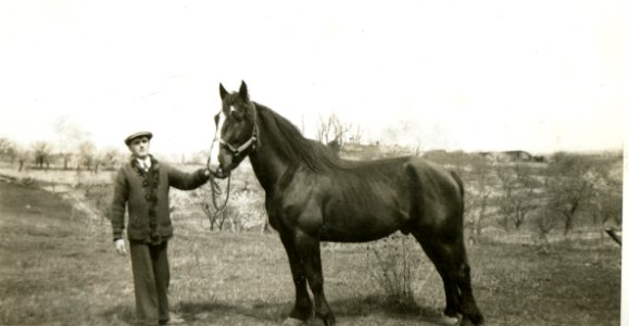 Peckham farm animals07