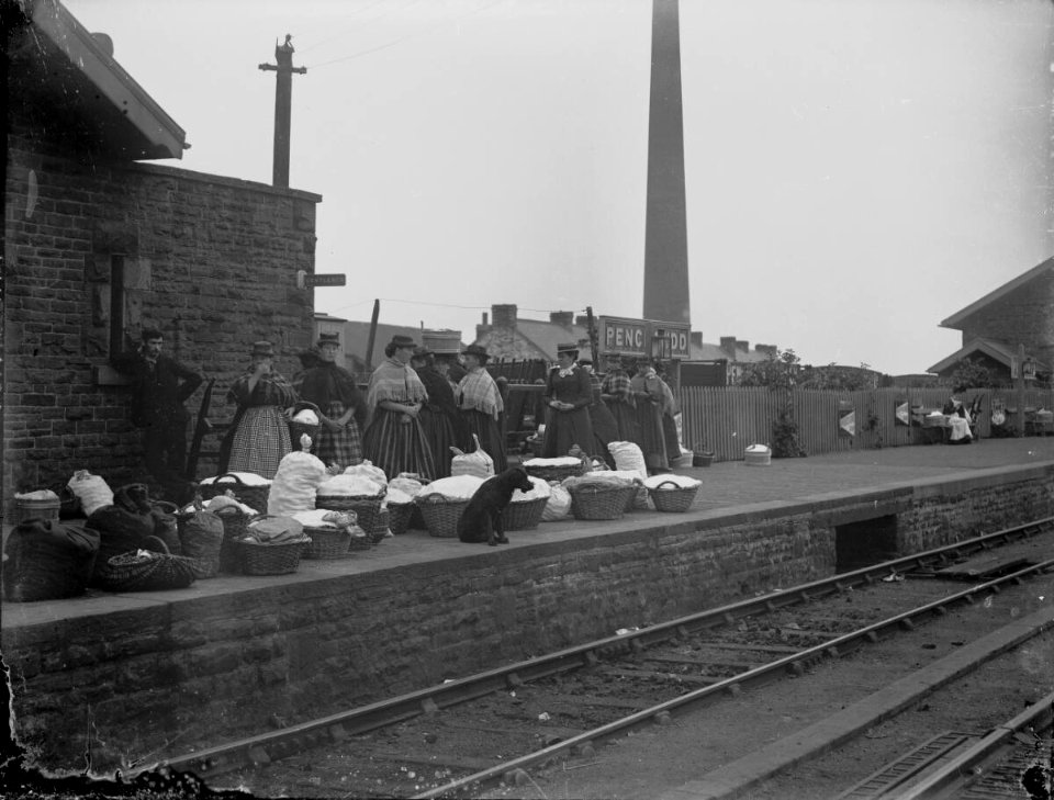 Penclawdd (4785905)