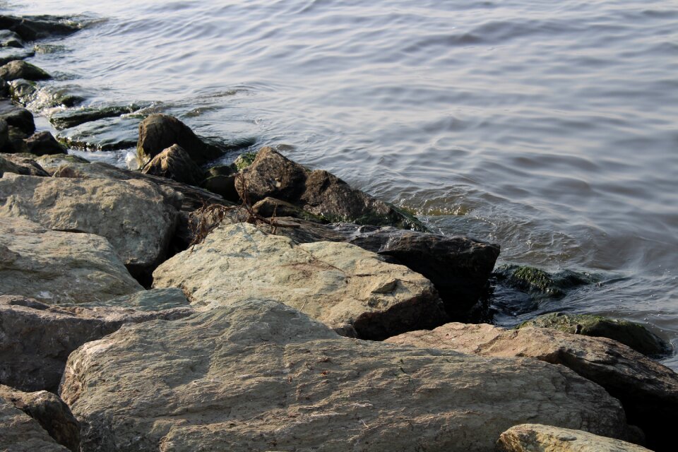 Kennedy nature stone