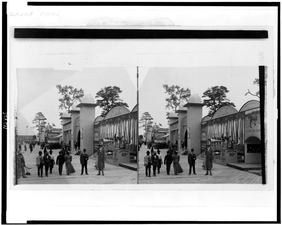 People on boardwalk in front of ostrich farm attraction LCCN95509436
