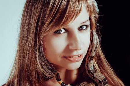 Tamer reptiles reptile