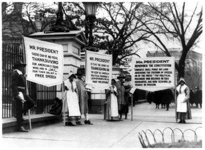 People dressed as pilgrims carrying three signs for amnesty for political prisoners standing in front of the White House LCCN92513845