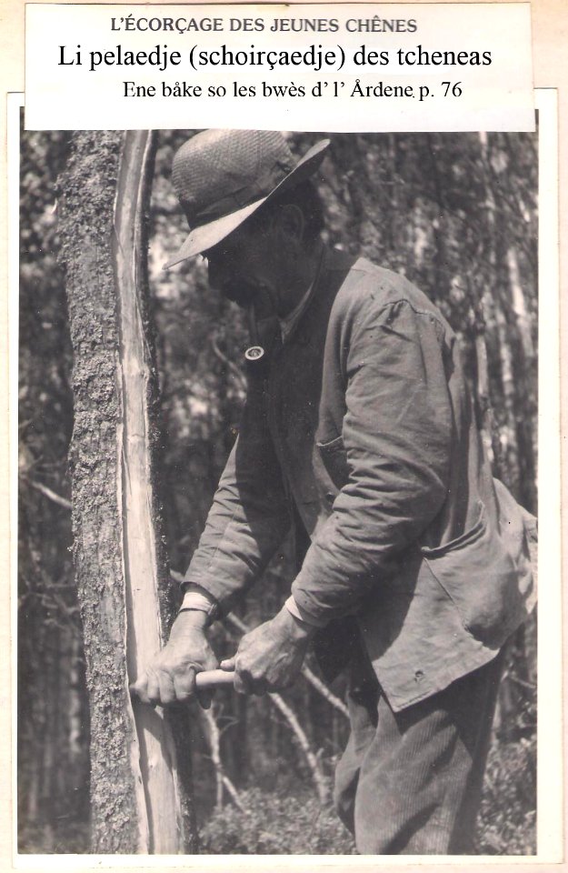 Peleu ås tcheneas 1942 MVW båke