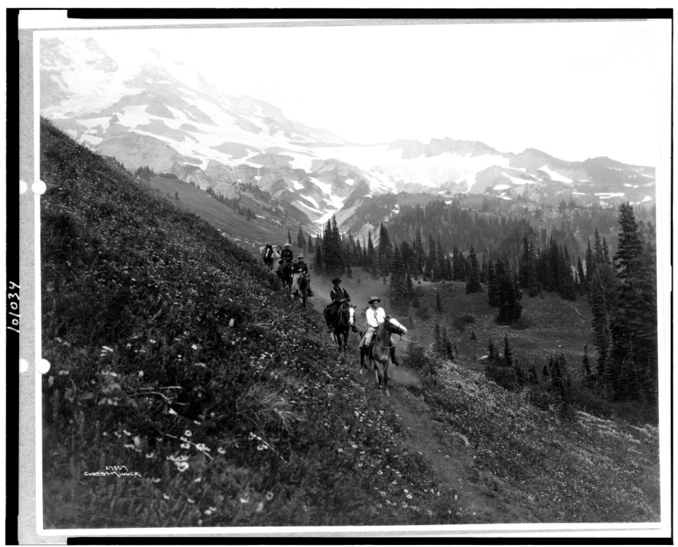 People on horseback, on trail, Van Trump Park, Mt. Rainier National Park, Washington) - Curtis & Miller LCCN90709572