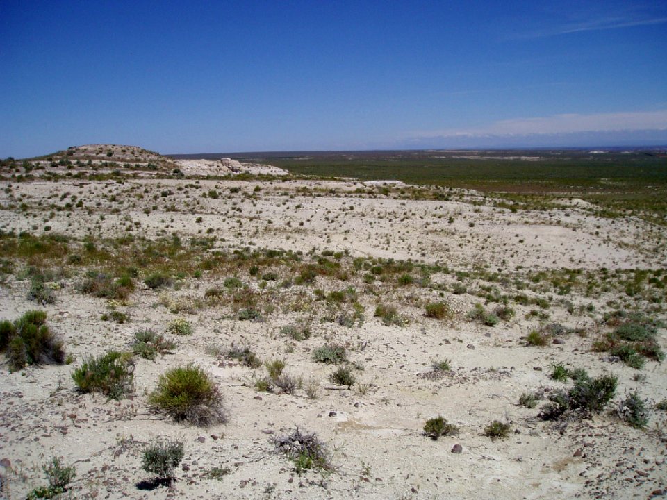Penstemon janishiae habitat in SW Idaho 3