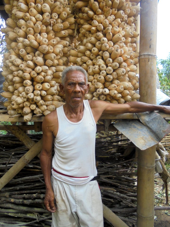 Perkiraan Curah Hujan Membantu Menurunkan Gagal Panen Petani Jagung (38916276684)