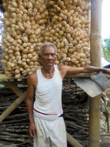 Perkiraan Curah Hujan Membantu Menurunkan Gagal Panen Petani Jagung (38916276684)
