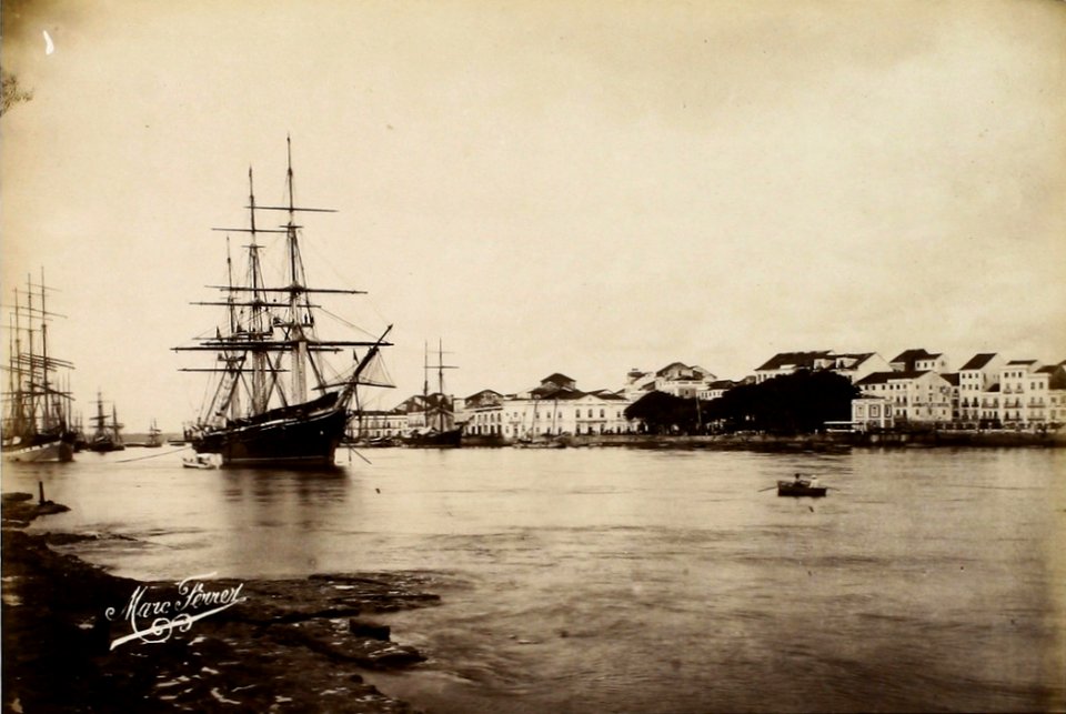 Pernambuco, photograph by Marc Ferrez