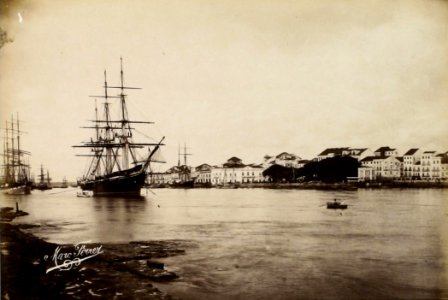 Pernambuco, photograph by Marc Ferrez