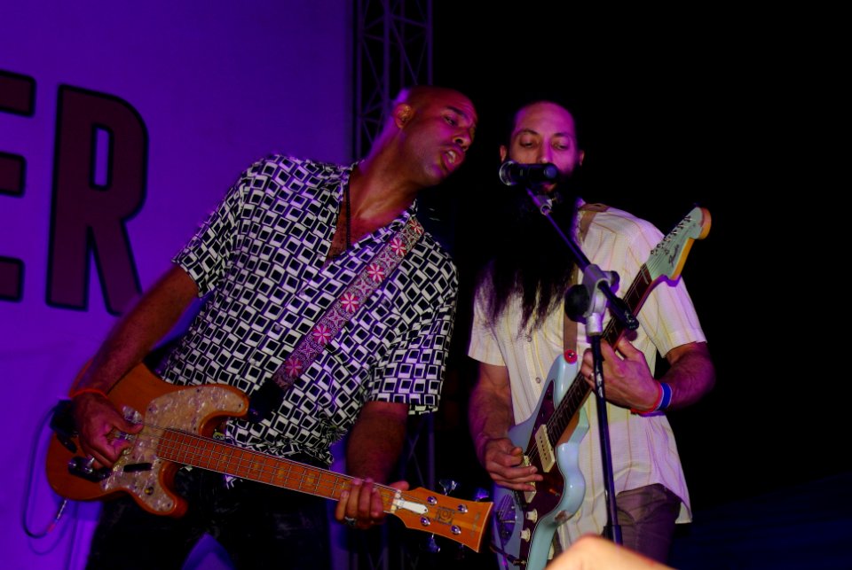 PEPFAR, U.S. Embassy Host Dengue Fever Concert in Hanoi (6416186101)