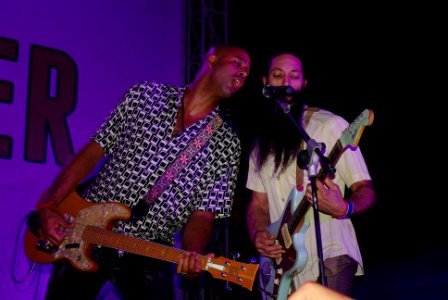 PEPFAR, U.S. Embassy Host Dengue Fever Concert in Hanoi (6416186101)