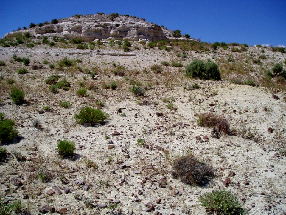 Penstemon janishiae habitat in SW Idaho 1