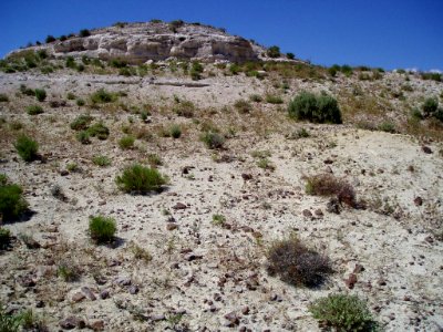 Penstemon janishiae habitat in SW Idaho 1