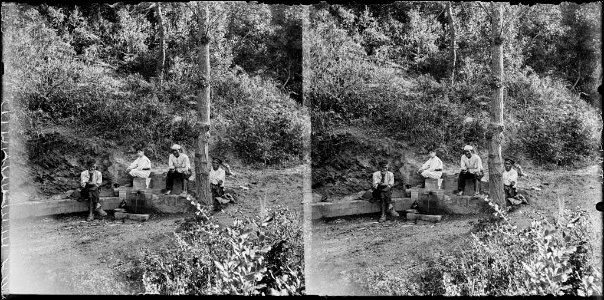 Persones al voltant d'una font al bosc de Can Magarola