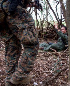 Personnel evasion and recovery drill, RIMPAC 2014 140711-N-PX130-066