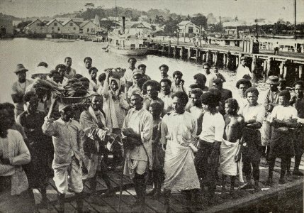 People gathering at the wharf of Suva, Fiji, c. 1900 photo