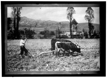 PERU SCENES LCCN2016864088