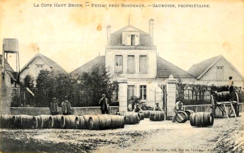 Pessac - La côte Haut Brion