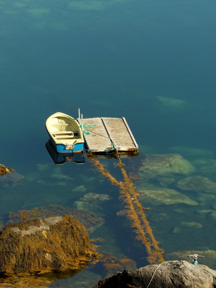 Nature summer jetty