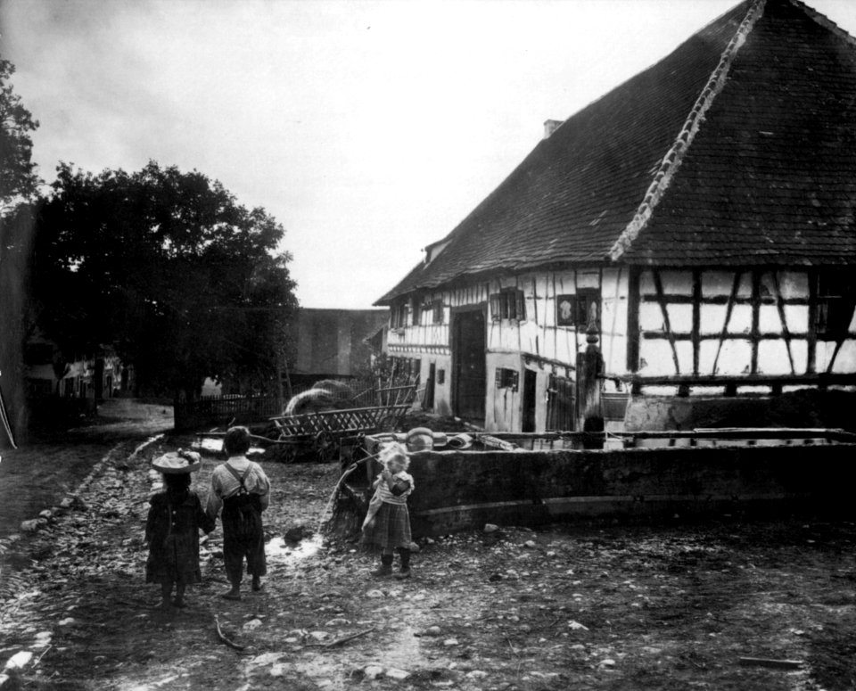 Peter Scherer Hofreite
