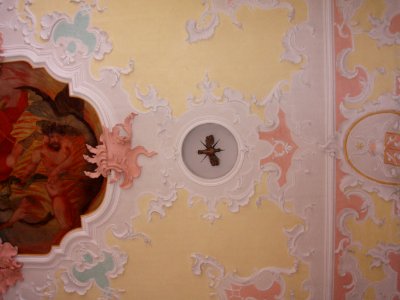 PestkapelleHeiliggeisttaube