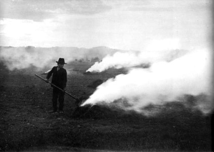 Peter Scherer Kartoffelfeuer