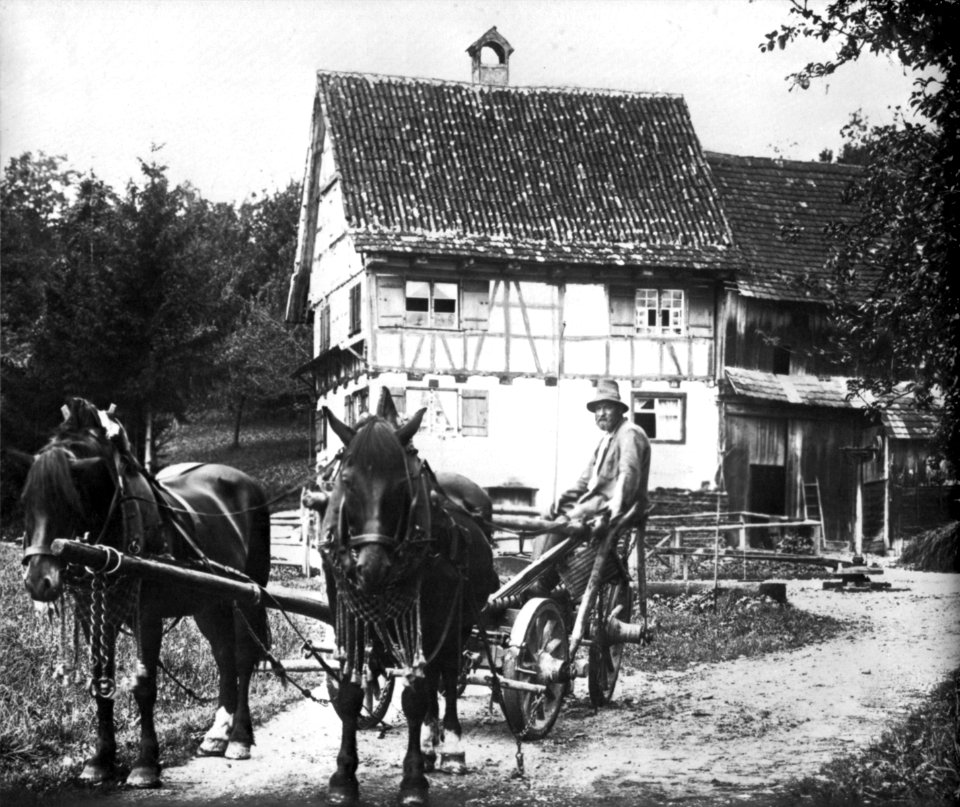 Peter Scherer Pferdefuhrwerk