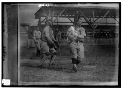 Pete Shields, catcher in spring training with Cleveland AL (baseball) LCCN2014692659