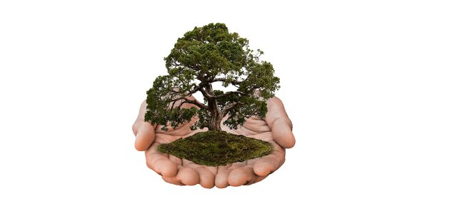 Hands presentation present