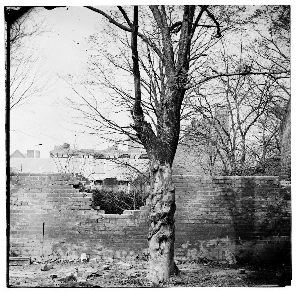 Petersburg, Virginia. Damage to garden wall LOC cwpb.02284